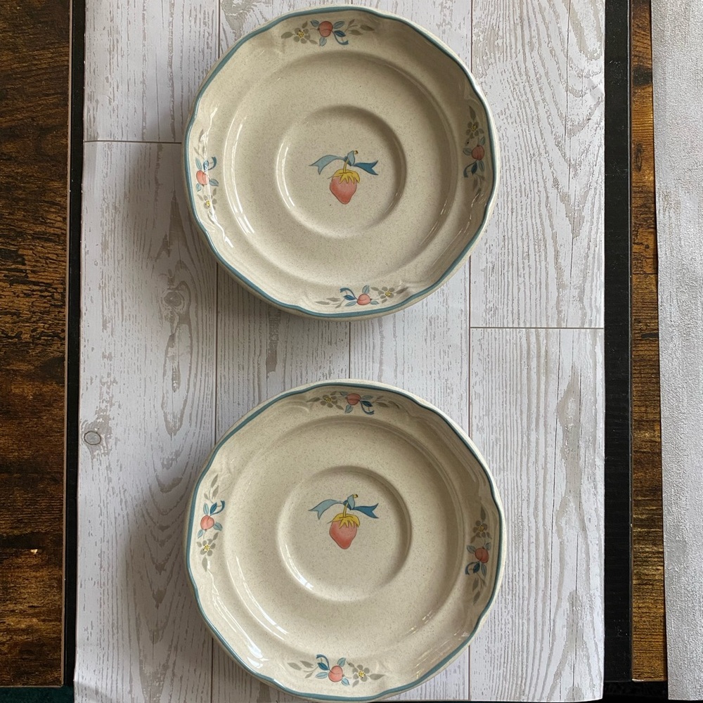 🦢 Vintage Blue Ribbon Goose Saucer Plates – Set of 2 🍓